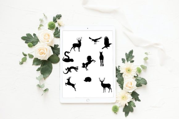 Unleashing Creativity with 10 Beautiful Animal Brush Stamps V 7 for Procreate