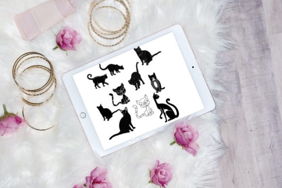 Unleashing Creativity with 10 Beautiful Cat Brush Stamps V 6 for Procreate